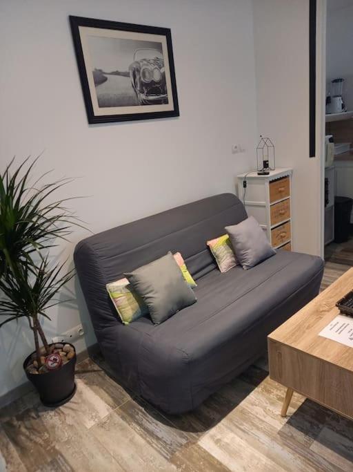 Cosy T2, Meuble De Tourisme 3 Etoiles, Parking Ferme , 2velos, Wi-fi Apartment Narbonne